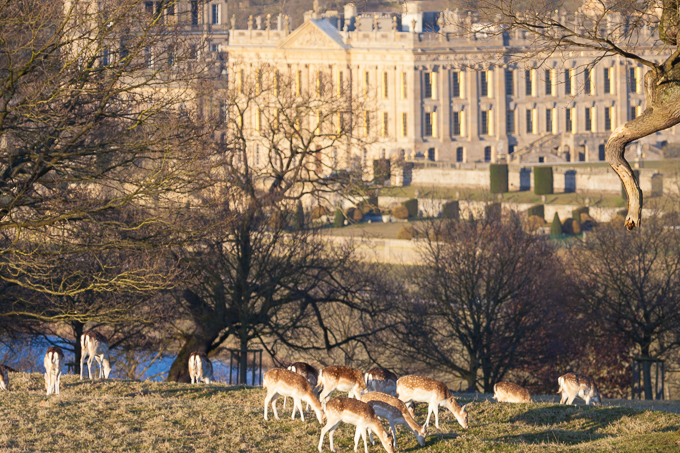 Chatsworth 2015 (05)